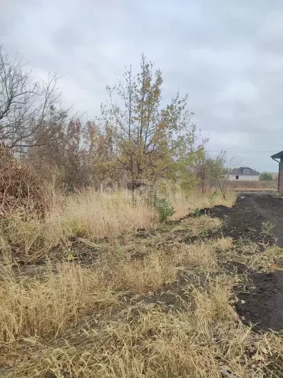 Участок в Воронежская область, Новоусманский район, пос. Отрадное ул. ... - Фото 0