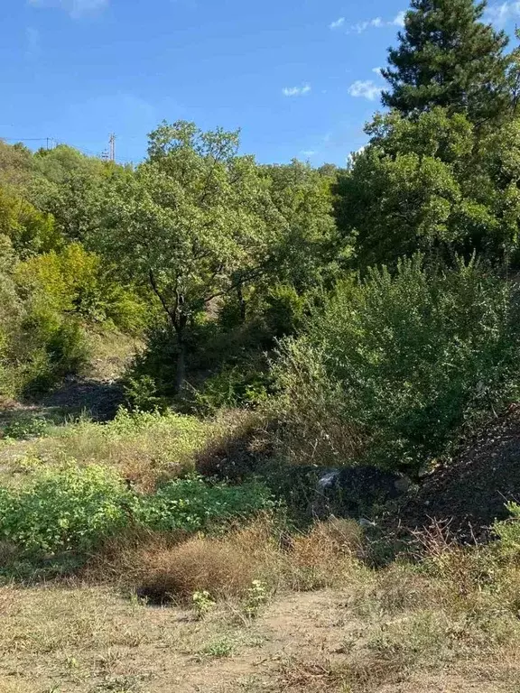 Участок в Крым, Ялта ул. Белобродского, 11 (10.0 сот.) - Фото 1