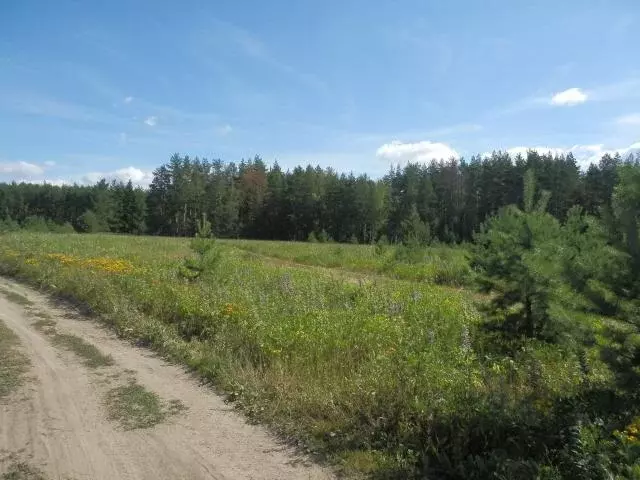 Продается участок в г. Черноголовка - Фото 2