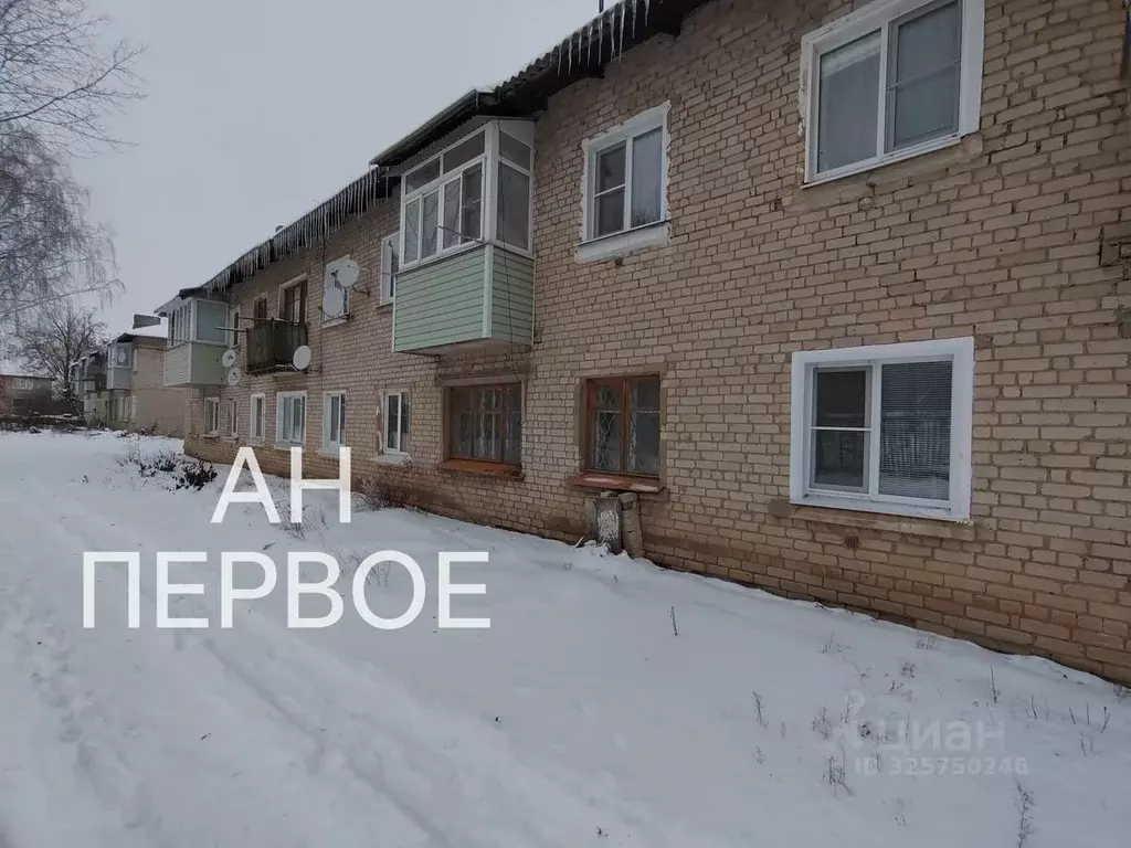 1-к кв. Рязанская область, Скопин ул. 40 лет Победы, 84 (30.2 м) - Фото 1