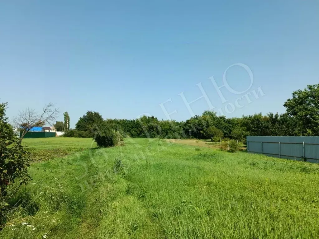 Участок в Воронежская область, Новоусманский район, ... - Фото 1