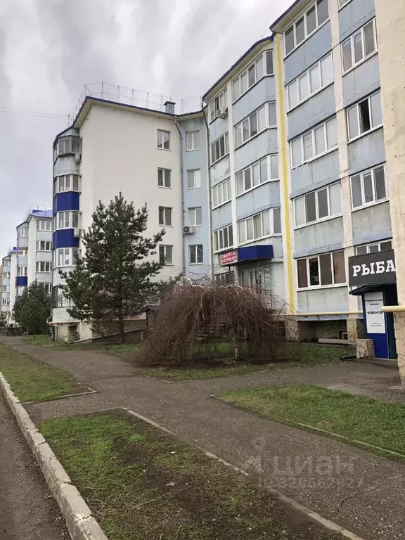 Помещение свободного назначения в Оренбургская область, Оренбург ... - Фото 1