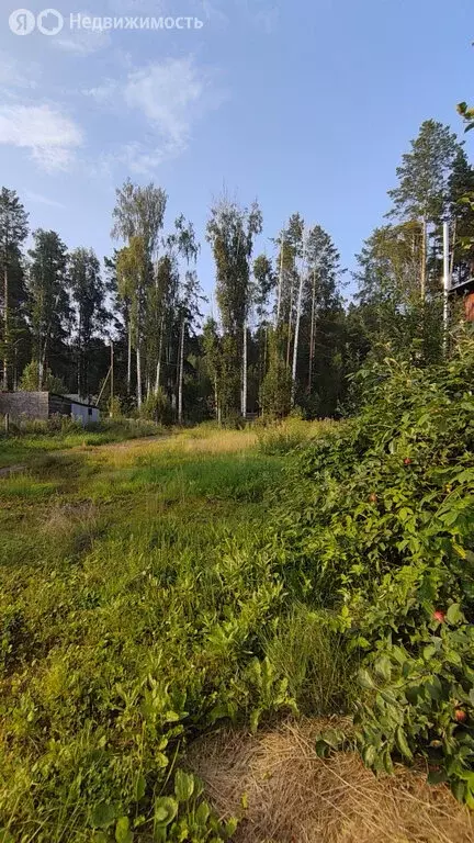 Участок в Заречный, Молодёжная улица, 14 (11.9 м) - Фото 1