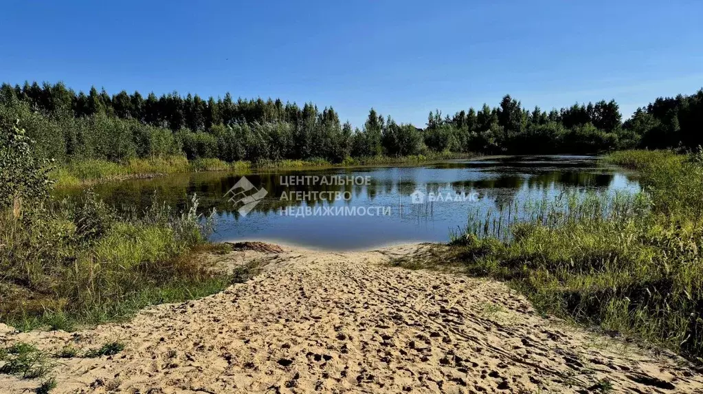 Участок в Рязанская область, Рязанский район, Дубровическое с/пос, с. ... - Фото 2
