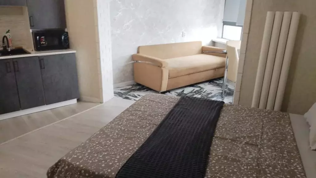 Студия Забайкальский край, Чита Каштакский мкр, 3 (30.0 м) - Фото 1