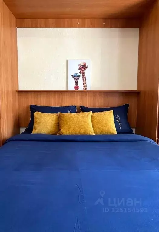 1-к кв. Санкт-Петербург Кондратьевский просп., 64к9 (24.0 м) - Фото 2