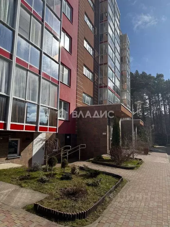 Студия Калининградская область, Светлогорск Майский проезд, 17 (27.0 ... - Фото 1