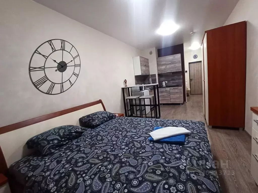 Студия Крым, Симферополь ул. Беспалова, 110Ж (26.0 м) - Фото 2