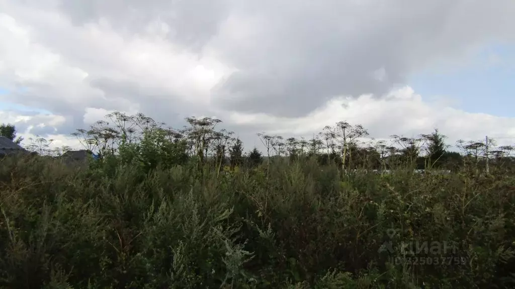 Участок в Московская область, Рузский муниципальный округ, д. Барынино ... - Фото 1