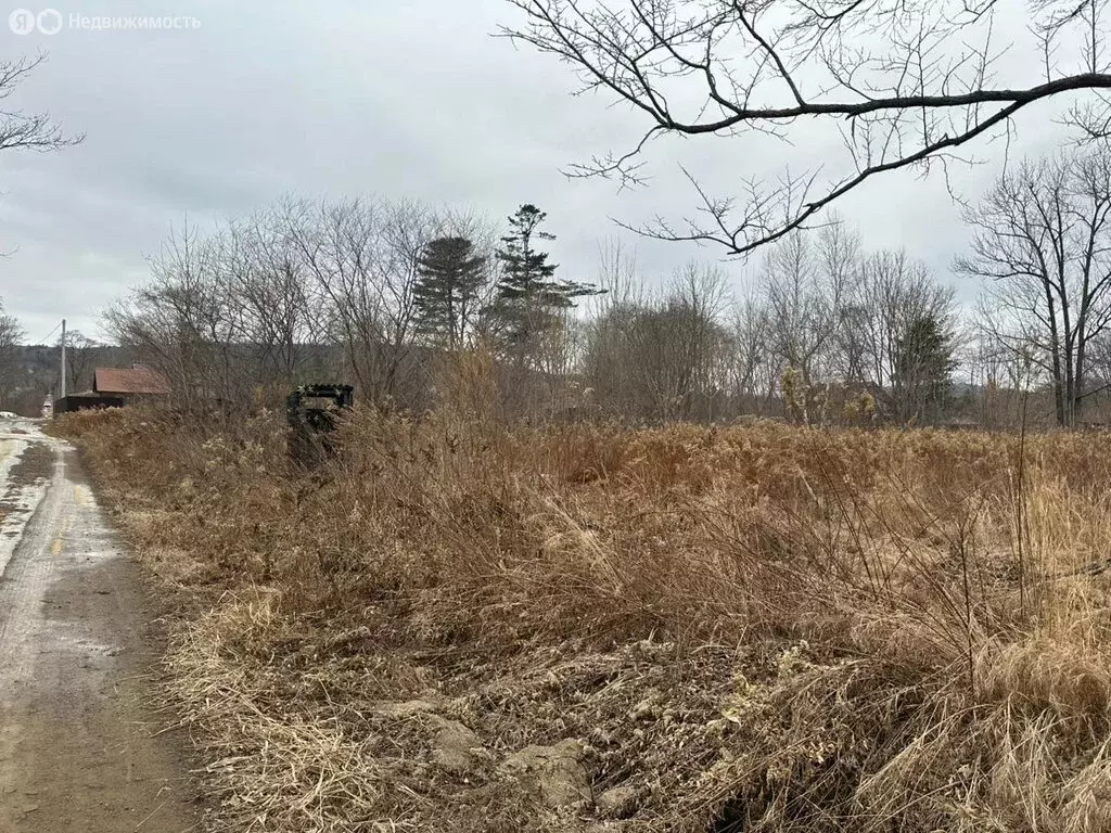 Участок в Приморский край, межселенные территории Дальнереченского ... - Фото 1