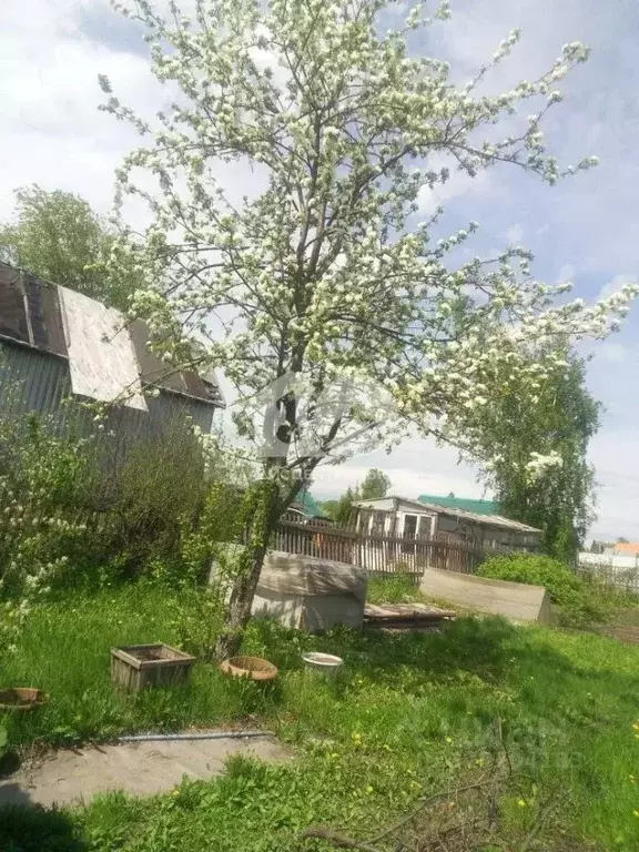 Участок в Новосибирская область, Новосибирск Строитель СНТ,  (5.59 ... - Фото 2