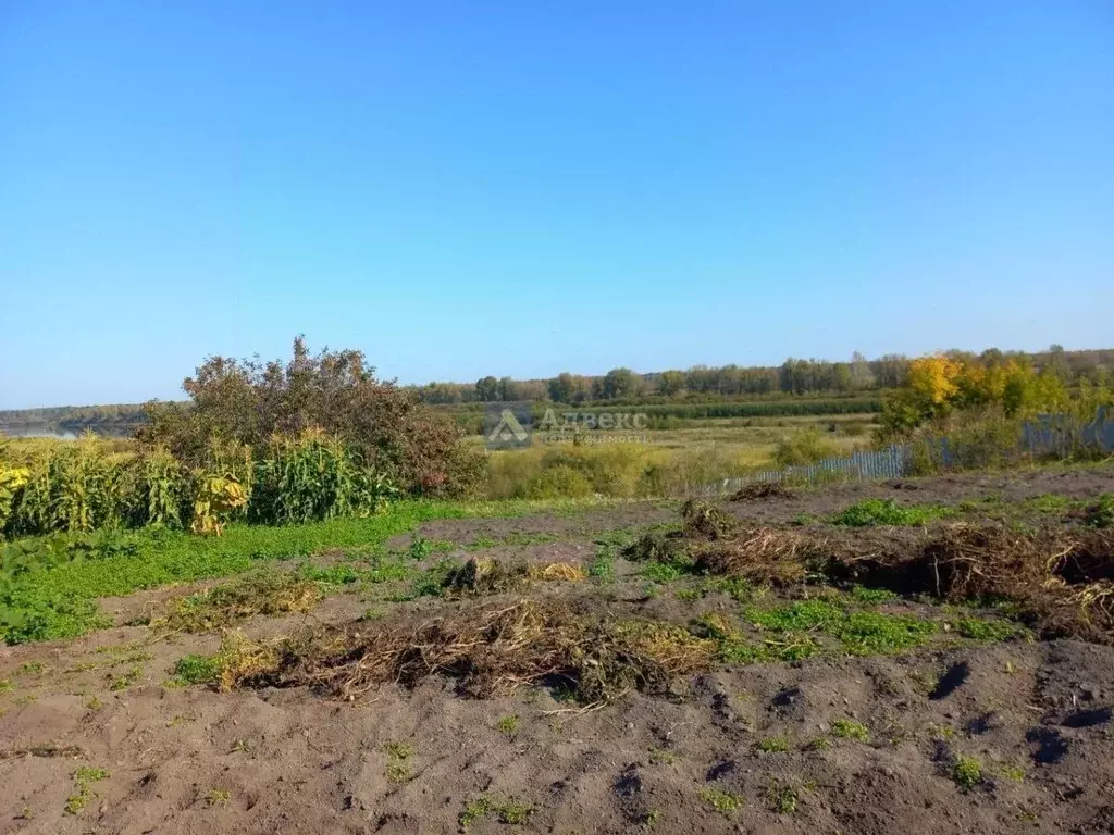 Участок в Тюменская область, Тюменский муниципальный округ, с. Каменка ... - Фото 2