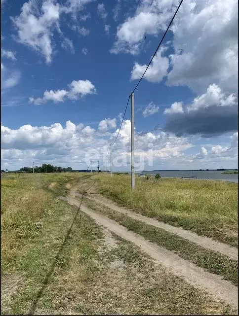 Участок в Новосибирская область, Новосибирский район, Кубовинский ... - Фото 1