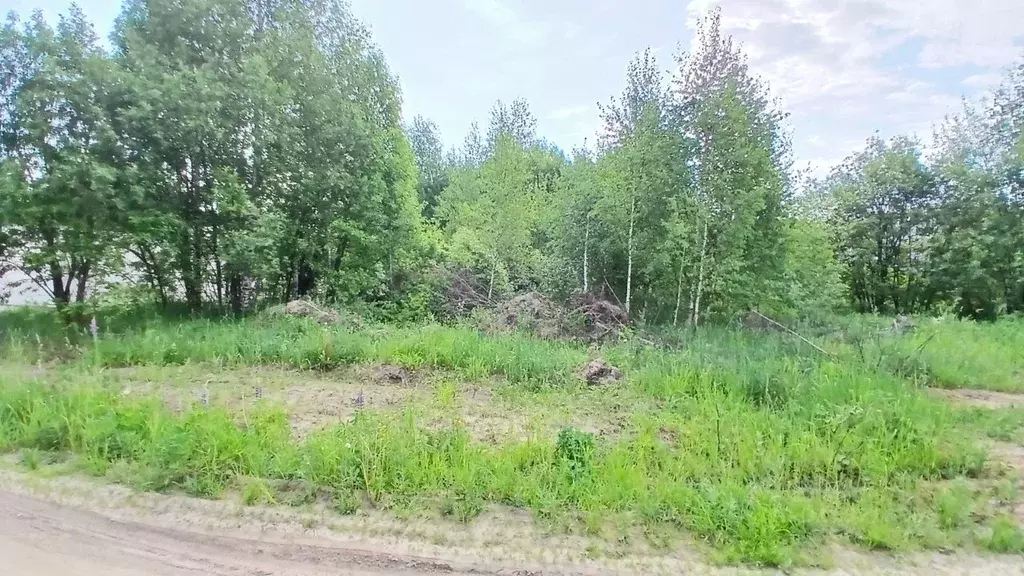 Участок в Нижегородская область, Богородский муниципальный округ, д. ... - Фото 1