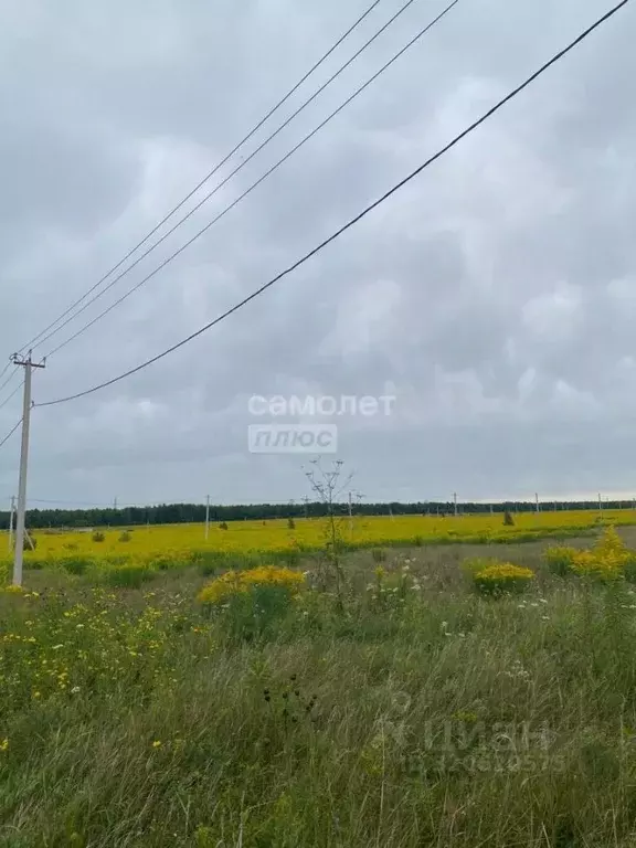 Участок в Алтайский край, Бийск ул. Якова и Ивана Максюковых, 36 ... - Фото 1