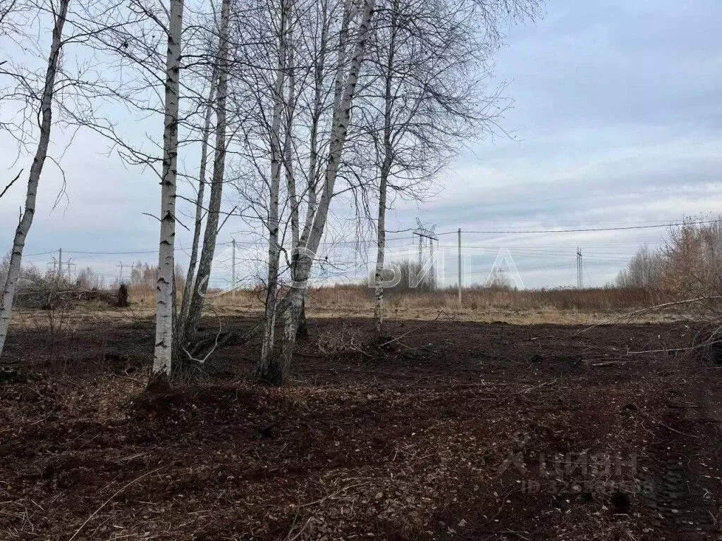 Участок в Тюменская область, Тюменский муниципальный округ, с. Борки  ... - Фото 1