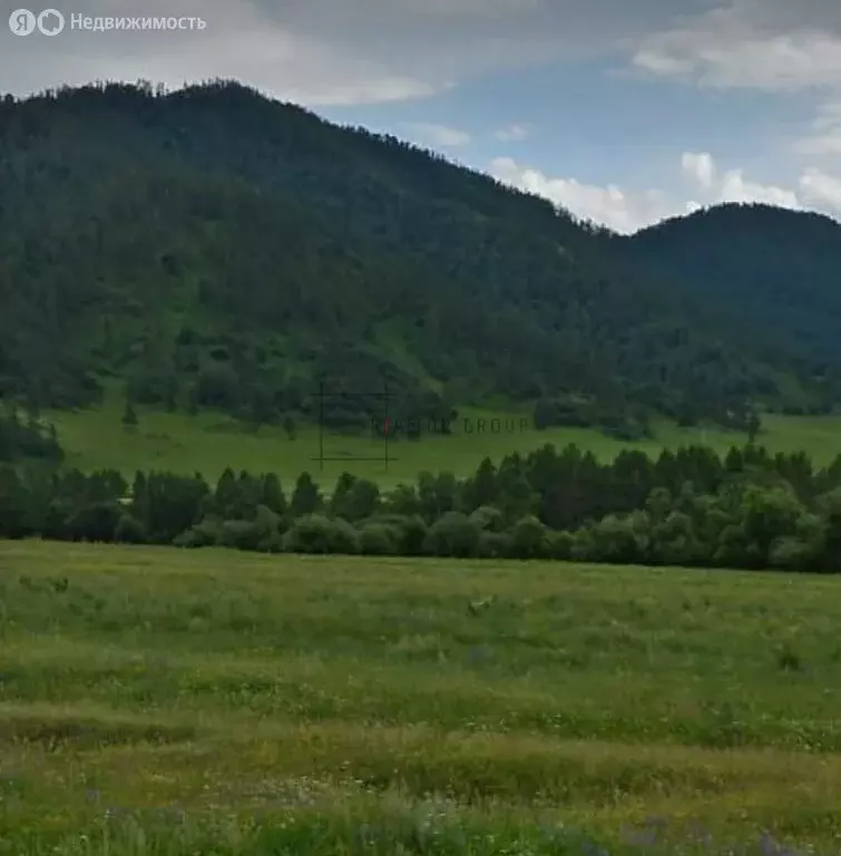 Участок в Онгудайский район, село Каракол (220.04999 м) - Фото 0