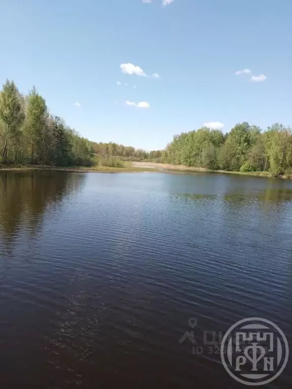 Участок в Ленинградская область, Лужский район, Ретюнское с/пос, д. ... - Фото 1