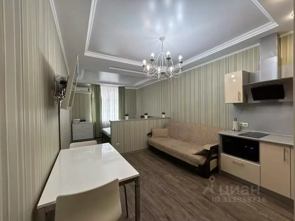 1-к кв. Краснодарский край, Сочи Виноградная ул., 22/1Б (35.0 м) - Фото 0