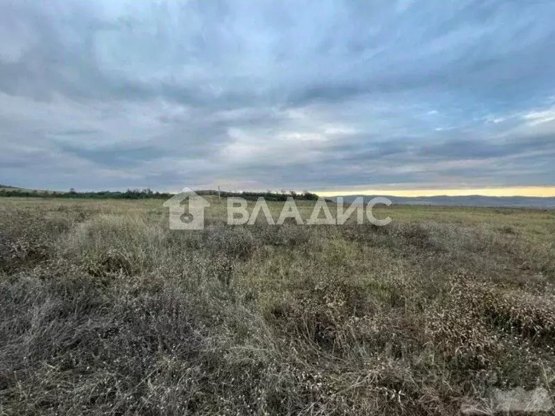 Участок в Московская область, Коломна Коммунальник-1 садовое ... - Фото 1