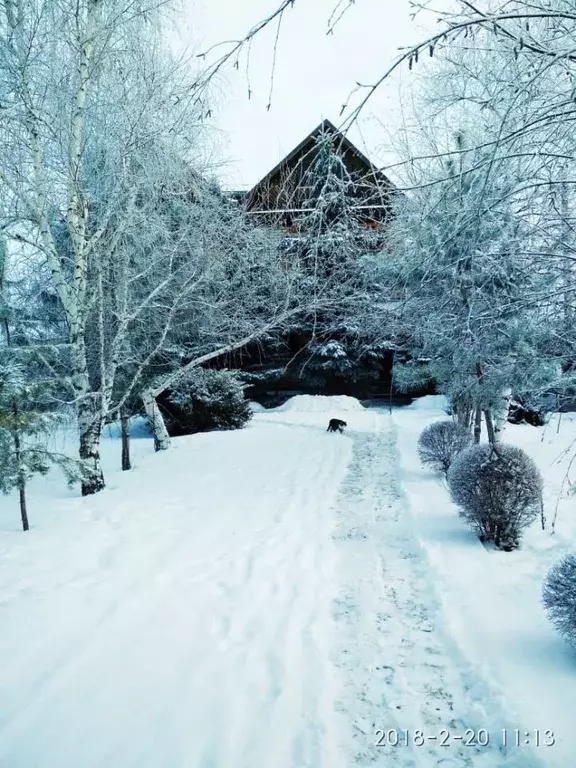 Дом в Волгоградская область, с. Ольховка ул. Базарная, 29 (280 м) - Фото 2