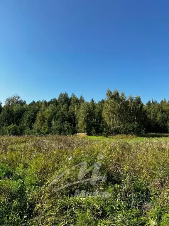 Участок в Московская область, Раменский городской округ, д. Бисерово  ... - Фото 0