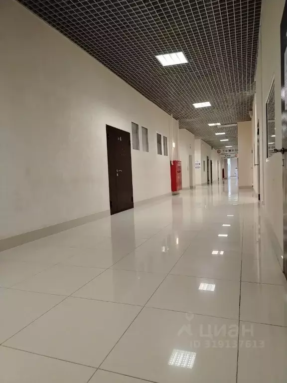 Офис в Воронежская область, Воронеж ул. Фридриха Энгельса, 64а (17 м) - Фото 0