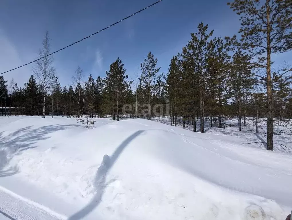 Участок в Ханты-Мансийский АО, Сургутского муниципального района тер., ... - Фото 1