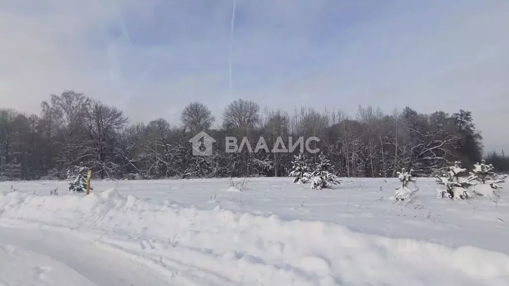 Участок в Владимирская область, Владимир с. Кусуново, ул. Волозинская, ... - Фото 2