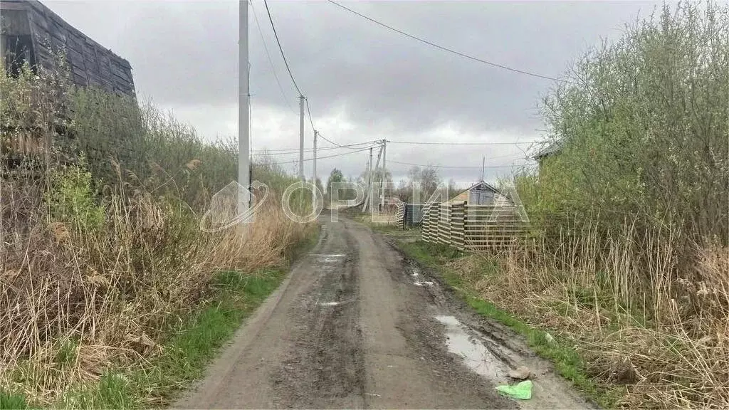 Участок в Тюменская область, Тюмень Садовое товарищество Липовый ... - Фото 2