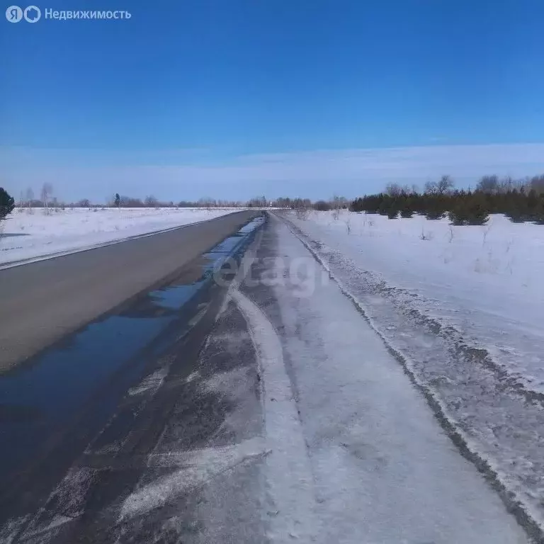 Участок в Тюменская область, Ишимский муниципальный округ, посёлок ... - Фото 2