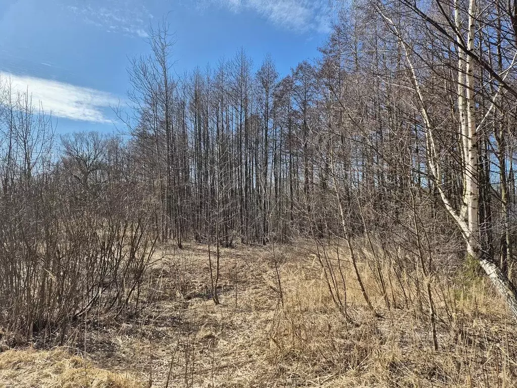 Участок в Московская область, Ликино-Дулево Орехово-Зуевский городской ... - Фото 0