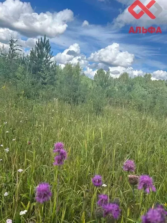 Участок в Кировская область, Слободской район, Шиховское с/пос, д. ... - Фото 0