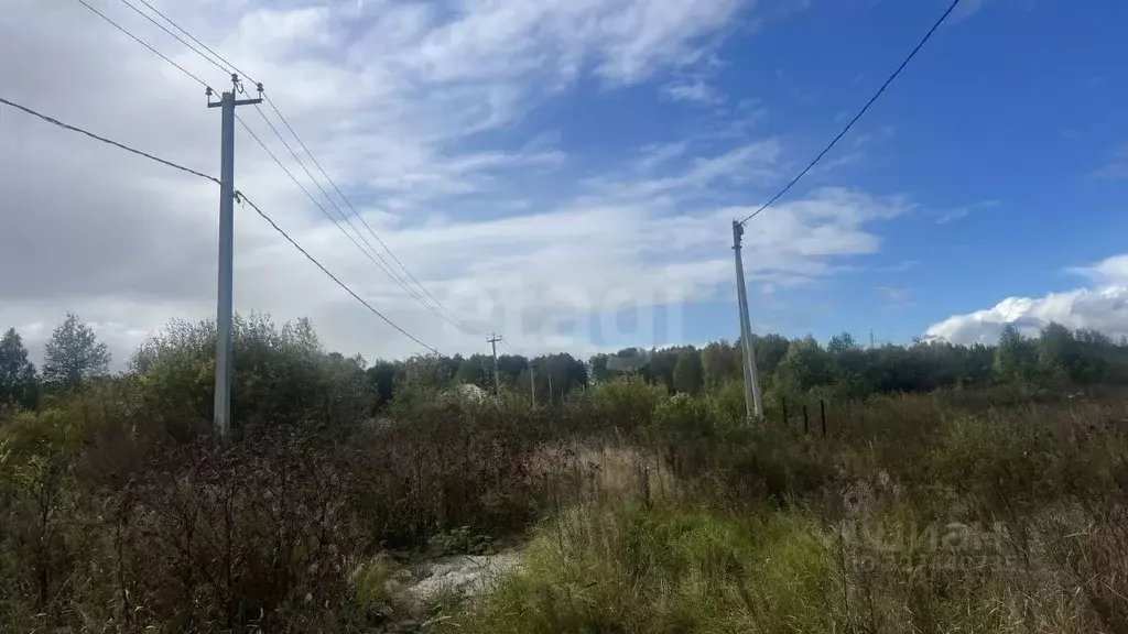 Участок в Тюменская область, Нижнетавдинский муниципальный округ, с. ... - Фото 1