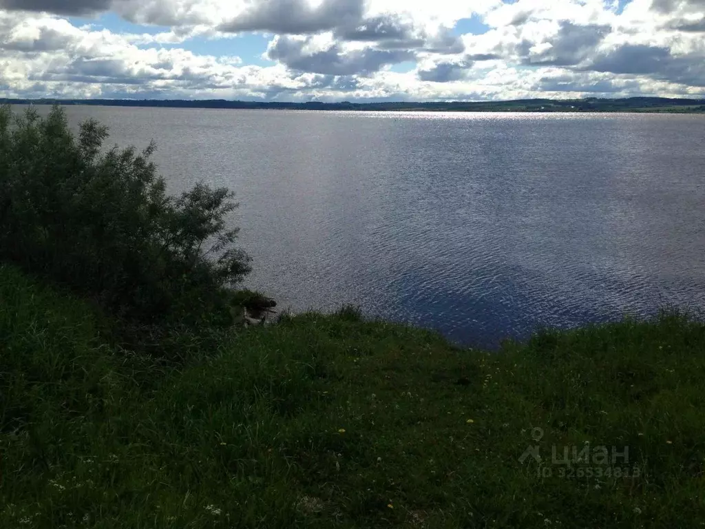 Участок в Пермский край, Ильинский муниципальный округ, Обвинский кп  ... - Фото 1