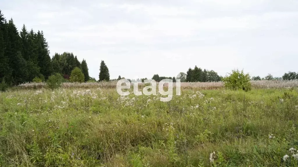 Участок в Свердловская область, Тугулымский муниципальный округ, с. ... - Фото 0