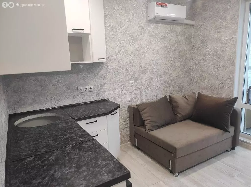 Квартира-студия: деревня Патрушева, улица Александра Пушкина, 16 (20.4 ... - Фото 1