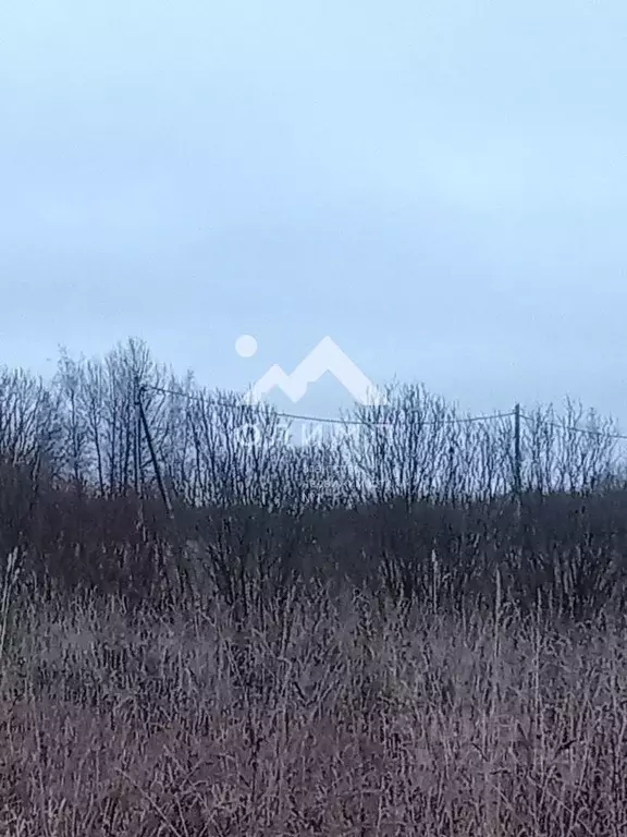 Участок в Ярославская область, Ярославский муниципальный округ, д. ... - Фото 2