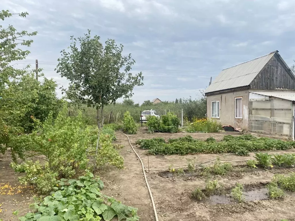 Участок в Оренбургская область, Оренбургский район, Ивановский ... - Фото 1
