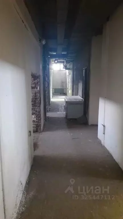 Склад в Санкт-Петербург просп. Луначарского, 5к3 (267 м) - Фото 1