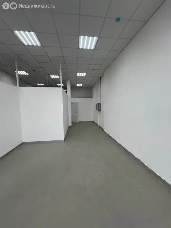 Помещение свободного назначения (35 м) - Фото 0