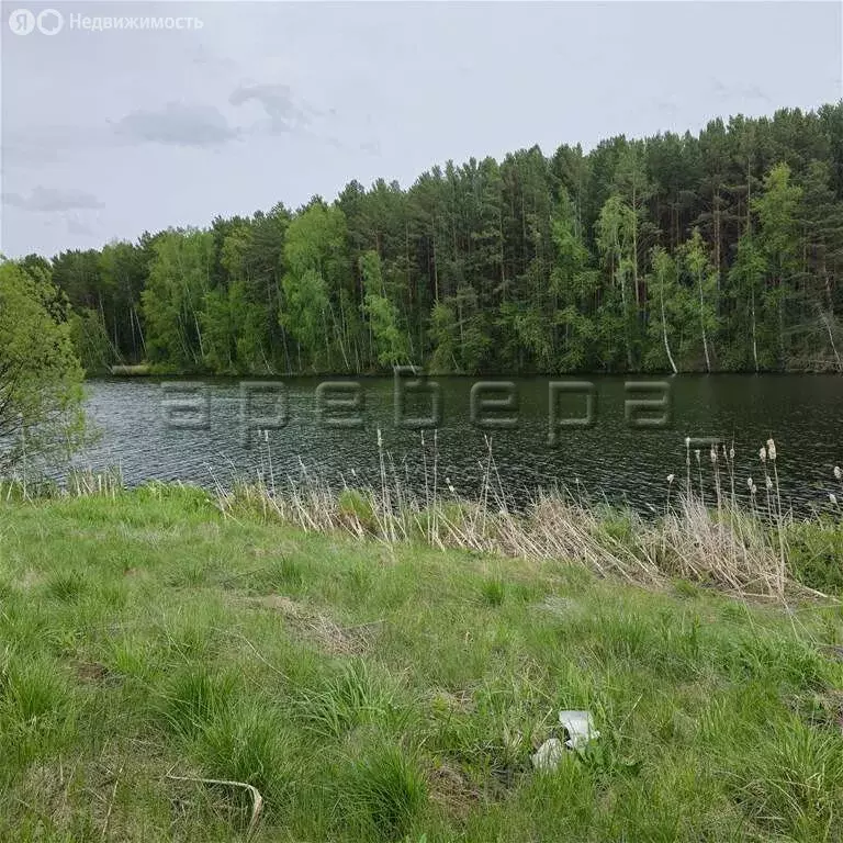 Дом в Никольский сельсовет, деревня Раскаты, Озёрная улица, 18 (78 м) - Фото 1