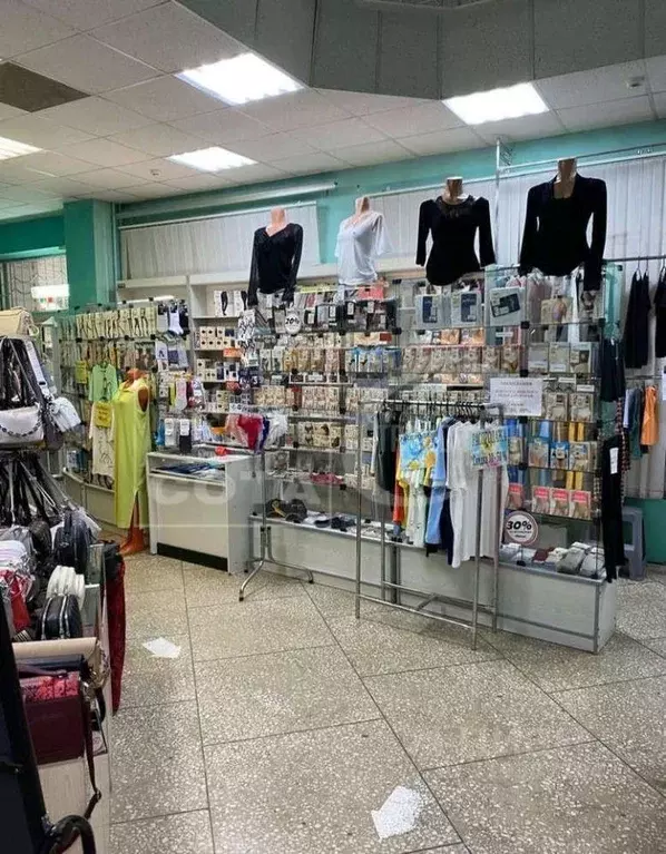 Торговая площадь в Воронежская область, Воронеж ул. Владимира ... - Фото 0