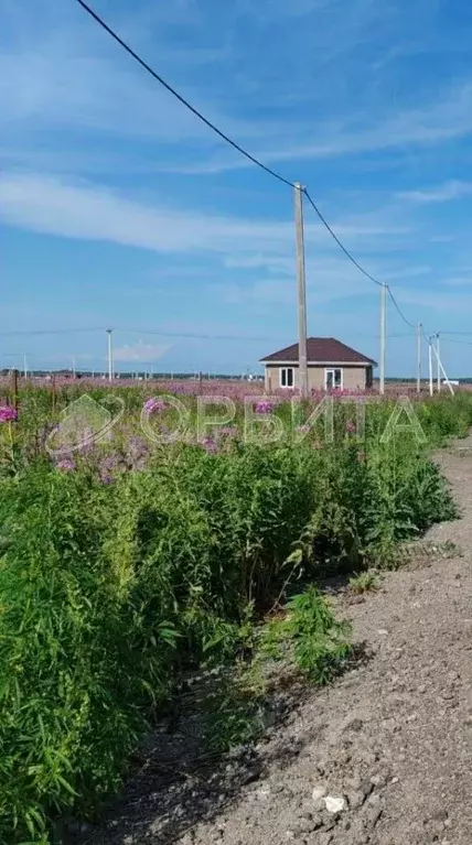 Участок в Тюменская область, Тюменский район, д. Малиновка  (5.0 сот.) - Фото 1