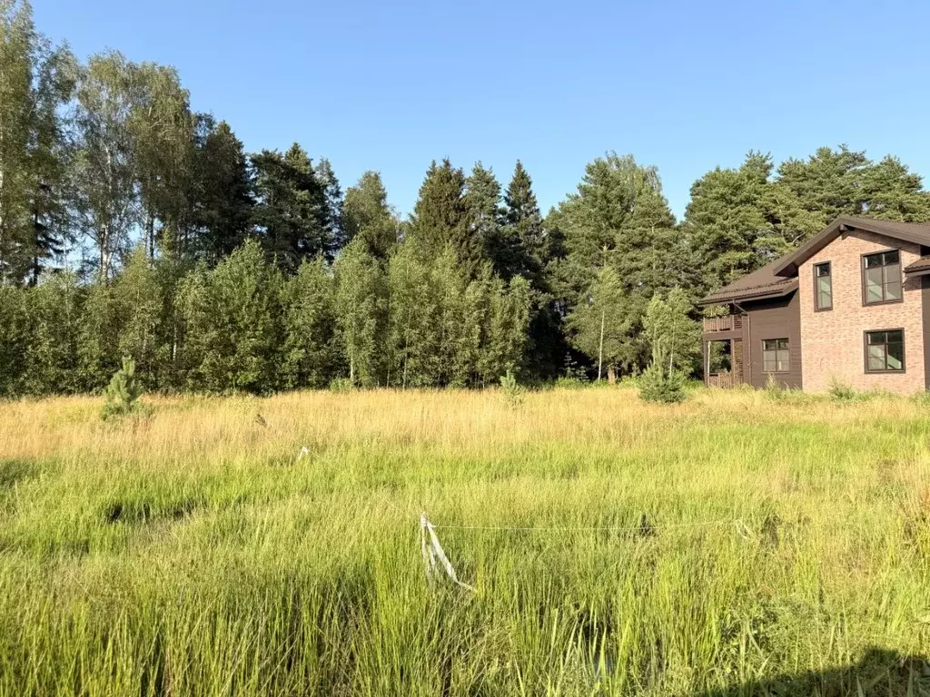 Участок в Московская область, Истра муниципальный округ, д. Котово  ... - Фото 2