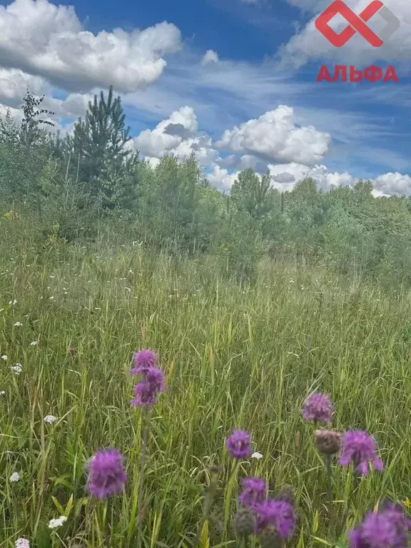 Участок 16,9 сот. (ИЖС) - Фото 0