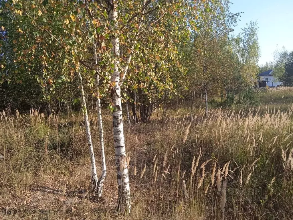 Участок в Московская область, Сергиево-Посадский городской округ, д. ... - Фото 0