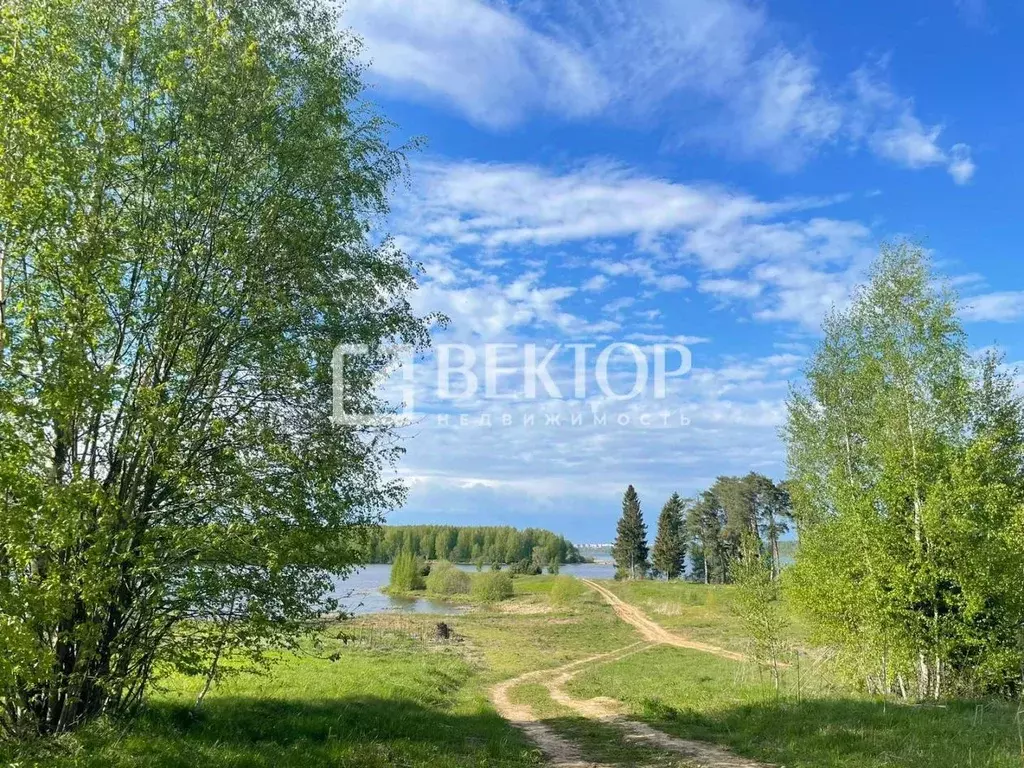 Участок в Костромская область, Костромской район, Самсоновское с/пос, ... - Фото 2