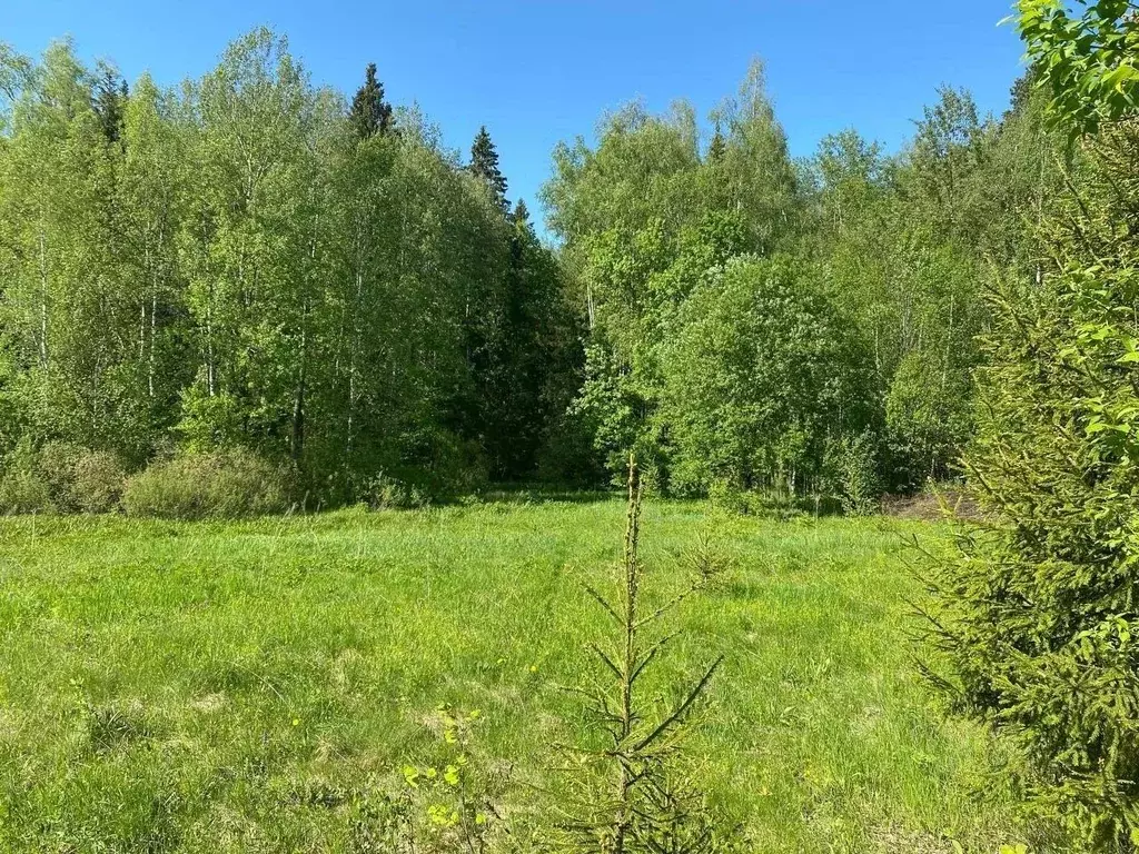 Участок, 11 сот., сельхоз (снт или днп) - Фото 1