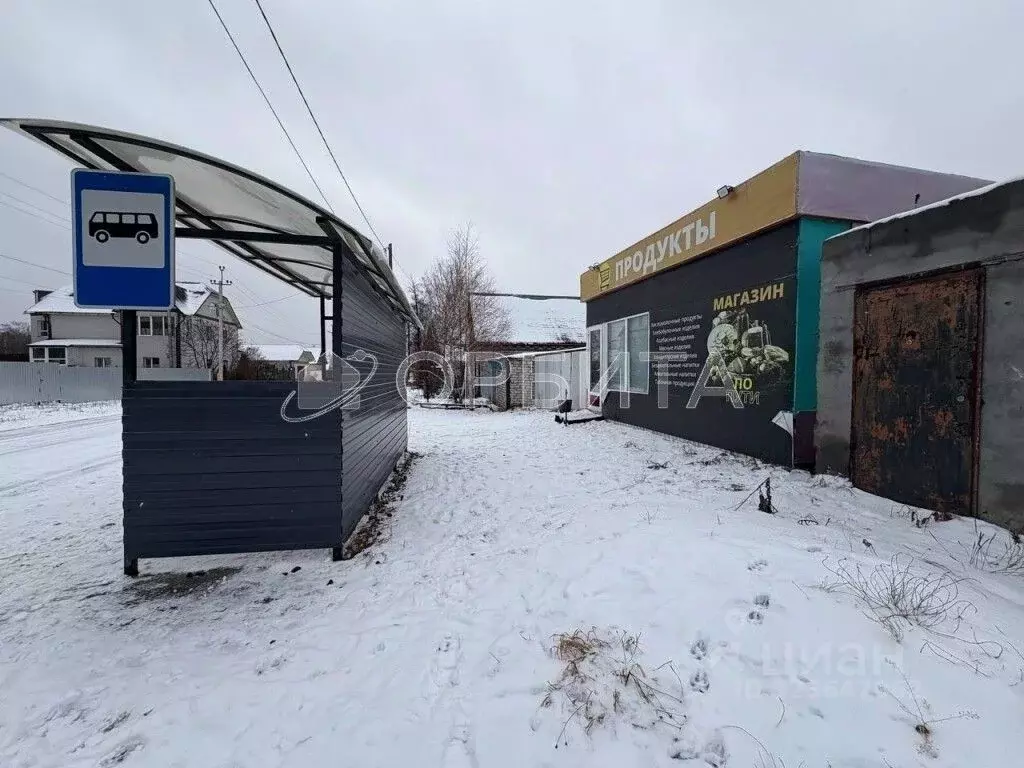 Участок в Тюменская область, Тюменский муниципальный округ, Винзили рп ... - Фото 1